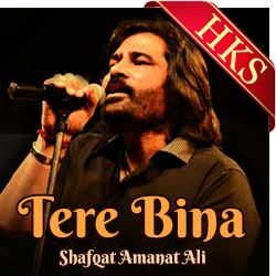 Tere Bina (Pakistani) Video Karaoke with Lyrics