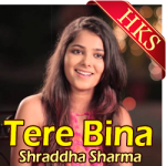 Tere Bina (Cover) - MP3 + VIDEO