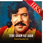 Tere Gham Ko Jaan - MP3 + VIDEO