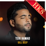 Teri Hamad - MP3