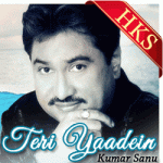 Teri Yaadein - MP3 + VIDEO