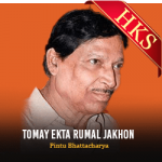 Tomay Ekta Rumal Jakhon - MP3