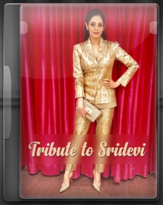 Tribute To Sridevi - MP3 + VIDEO