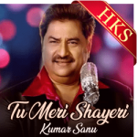 Tu Meri Shayeri - MP3