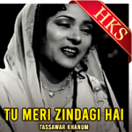 Tu Meri Zindagi Hai - MP3