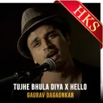 Tujhe Bhula Diya x Hello - MP3