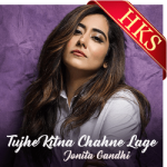 Tujhe Kitna Chahne Lage Hum (Cover) - MP3