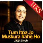 Tum Itna Jo Muskura Rahe Ho - MP3