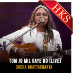 Tum Jo Mil Gaye Ho (Live) - MP3