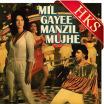 Tum Jo Mile To Phool Khile - MP3