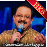 Vanamellam Shenbagapoo - MP3