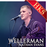Wellerman - MP3