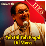 Ye Dil Ye Pagal Dil Mera - MP3