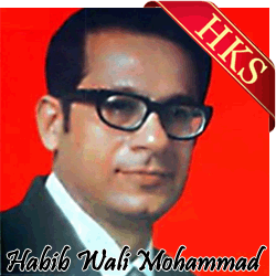  Gaye Dinon Ka Surag Lekar Video Karaoke with Lyrics