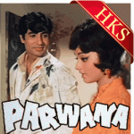 Jis Din Se Maine Tumko Dekha (With Female Vocals) - MP3