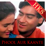 Maine Pyaar Tumhi Se Kiya Hai - MP3 + VIDEO