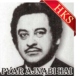 Pyar Ajnabi Hai - MP3 + VIDEO