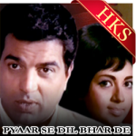 Pyaar Se Dil Bhar De - MP3 + VIDEO