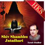 Shiv Shambhu Jatadhari - MP3 + VIDEO