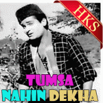 Yoon To Humne Laakh Haseen Dekhe Hain - MP3